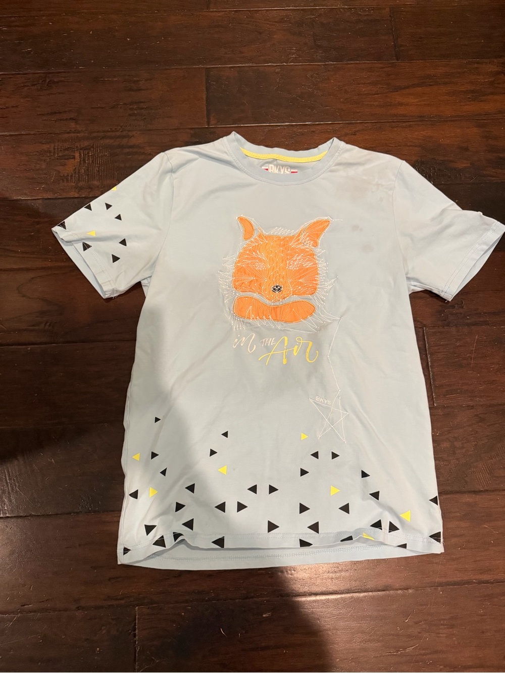 BKYS "In the Air" Fox Graphic Tee Size S Light Blue Orange Appliqué Stitched Con